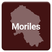Moriles