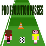 Pro Evolution Passes-icoon