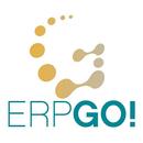 ERPGo! + APK