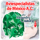 Reunión Anual AVEM 2015 APK