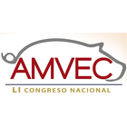 Congreso AMVEC 2017 ícone