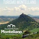 Turismo Montellano APK