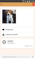 Love Dog: La app social canina imagem de tela 2