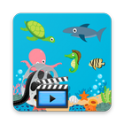 Videos del Bebé Tiburón Online icono