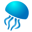 Informes sobre medusas y playa