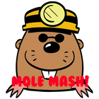 MoleMash иконка