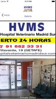 HOSPITAL VET. MADRID SUR 포스터