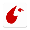Enovip icon