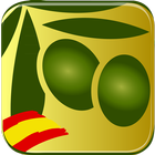 Icona Exporters olive oil