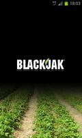 BlackJak Affiche