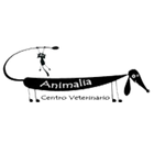 Veterinaria Animalia icône