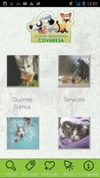 Veterinaria Covaresa پوسٹر