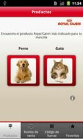 Royal Canin.es পোস্টার