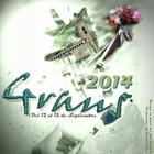Llibre 2014 - Fiestas de Graus biểu tượng