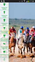 La Sénia Carreras de Caballos Cartaz