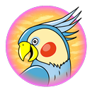 Birds in English for kids APK