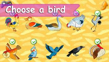 Birds in English for kids Affiche