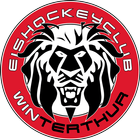 EHC Winterthur 图标