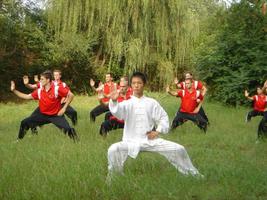 Tai Chi Unterricht Screenshot 1