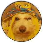 Dog taC Dog icon