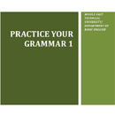 Practice Your English APK