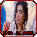 Esraa Al - Aseel - Arousa - offline new APK