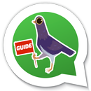 Trash Dove for Whatsapp Guide APK