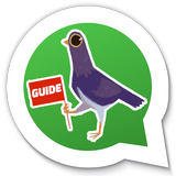 Trash Dove for Whatsapp Guide आइकन
