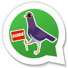 Trash Dove for Whatsapp Guide ไอคอน