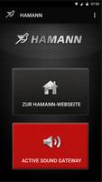 Hamann ActiveSound BLE screenshot 1