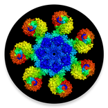 Τεστάκια Βιολογίας