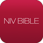오디오성경 NIV-icoon