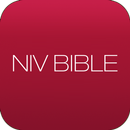 오디오성경 NIV APK