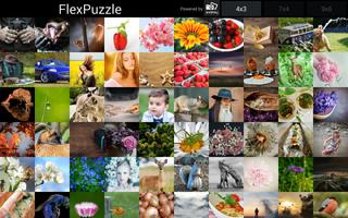 FlexPuzzle captura de pantalla 2