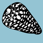 Marine Conus Recognition icon