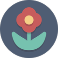 Plant Recognition