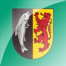 Waldfischbach-Burgalben app|ONE APK