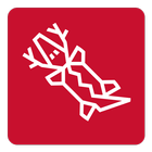 Markit icon