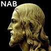 N.A.Bible APK