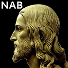 N.A.Bible ikon
