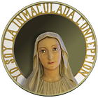 Ntra Señora Lourdes - Valencia icon