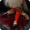 claws APK