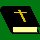 Multilingual Holy Bible icon