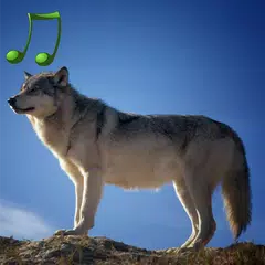 動物の音 アプリダウンロード