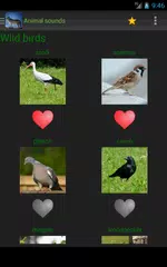 Скачать Звуки, фотографии животных APK