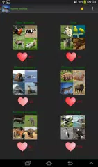 Скачать Звуки, фотографии животных APK