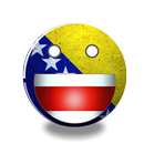 Vicevi - Bosanci APK