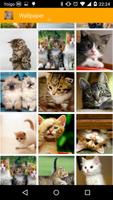 Vk  My Cat Wallpaper memes capture d'écran 1
