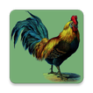 Rooster Sounds