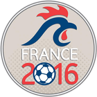 European 2016 Team Select icône